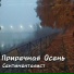 Сентименталист