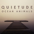 Ocean Animals