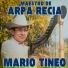 Mario Tineo