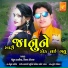 Mehul Bariya, Viral Tirgar