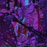 Rottenscape