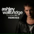 Andy Moor, Ashley Wallbridge, Gabriela