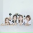 Yebin, Chaeyeon, Hyunyeon & Eunice (DIA)