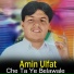 Amin Ulfat
