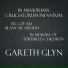 Gareth Glyn