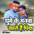 RR Prince