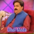 Shafaullah Khan Rokhri