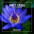Matt Caseli