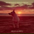 Beachhippy