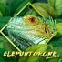 ELEPUNTORONE