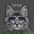 S4FIRA