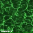 The Mvtt