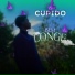 Cupidinn