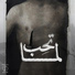 Karim Hany