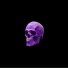 DXVDLYVICE