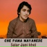 Salar Janikhel