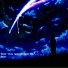1NZZiDENT, ?VLNS?