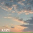 INEV