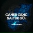Saltuk Gül