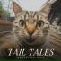 Cat Music