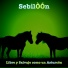 SebilÒÓn