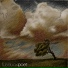 Fusebox Poet