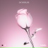 Bloom Line
