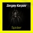 Sergey Karpov