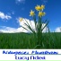 Lucy Nderi