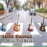 The Surf Dawgs