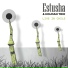 Estusha, Holman Trio