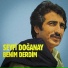 Seyfi Doğanay