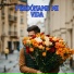 Antologías Trio, Andrés Caicedo, Grupo Nueva Vida