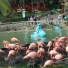 Zoológico Guadalajara