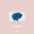 LIDIO feat. Amy Kirkpatrick