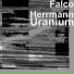 Falco Herrmann