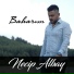 Necip Albay