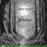 Orbittы