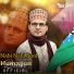 Humayun Qadri
