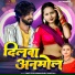 Amit Star Gorakhpuri, Shilpi Raj
