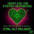 CTRL ALT DELIGHT