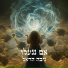 Niva Harel