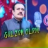Gulzar Alam