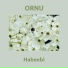 Ornu