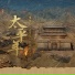 陈雪燃, Julián Franji