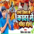Vivek Lal Yadav