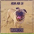 Narlos