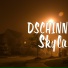 DSCHINN