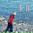 林韵乔