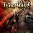 Wind Rose